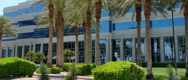 Manicured landscaping in front of a modern commercial building with palm trees and well-pruned bushes